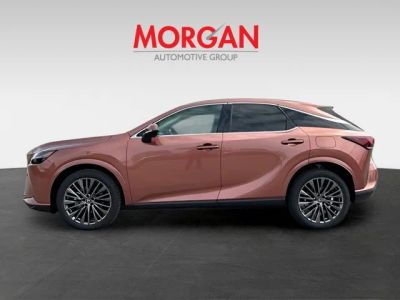 2026 Lexus RX — engine compartment view