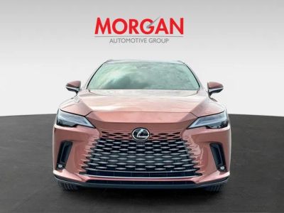 2026 Lexus RX — photo 8 view