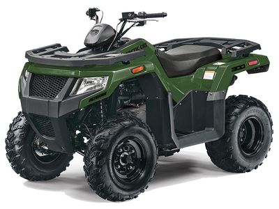 2026 Arctic Cat Alterra 300 - Photo 2