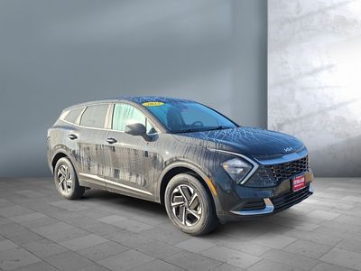 2023 Kia Sportage Hybrid — photo 8 view