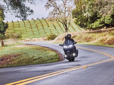 2024 Honda Gold Wing Automatic DCT - Photo 30