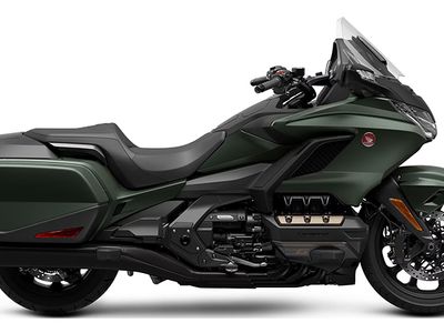2024 Honda Gold Wing Automatic DCT - Photo 16