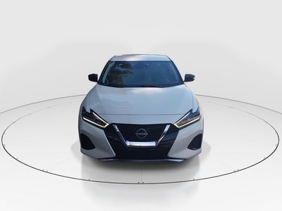 2023 Nissan Maxima - Photo 2