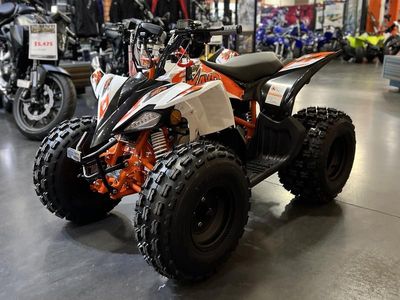 2026 Kayo Predator 125 - Photo 21