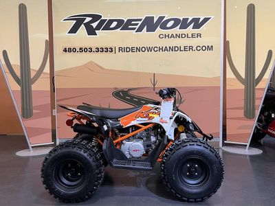 2026 Kayo Predator 125 - Photo 23