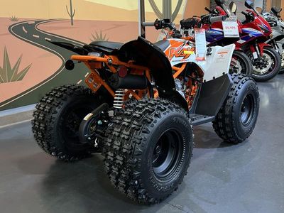 2026 Kayo Predator 125 - Photo 4