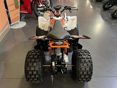 2026 Kayo Predator 125 - Photo 5