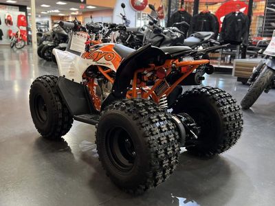 2026 Kayo Predator 125 - Photo 19
