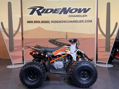 2026 Kayo Predator 125 - Photo 1