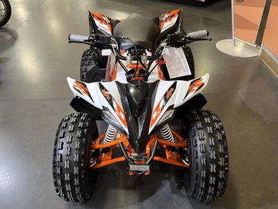 2026 Kayo Predator 125 - Photo 3