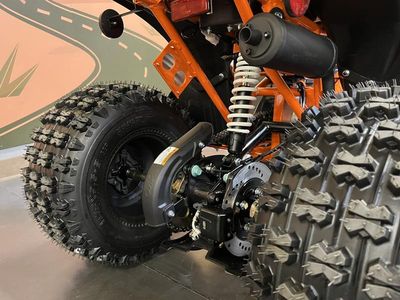 2026 Kayo Predator 125 - Photo 15