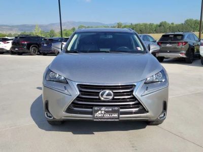 2016 Lexus NX — detail view