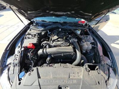 2024 Ford Mustang — photo 25 view
