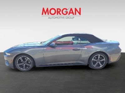 2024 Ford Mustang — photo 7 view