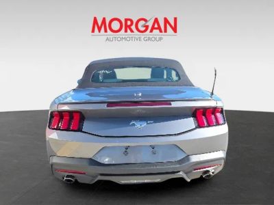 2024 Ford Mustang — detail view