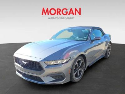 2024 Ford Mustang — photo 8 view