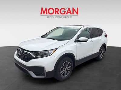 2022 Honda CR-V - Photo 3