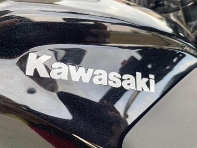 2025 Kawasaki Z500 ABS - Photo 12