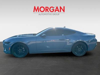 2025 Ford Mustang — detail view