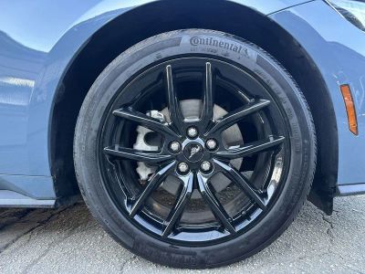 2025 Ford Mustang — photo 18 view