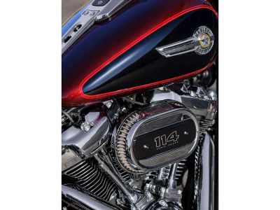 2022 Harley-Davidson Fat Boy 114 - Photo 3