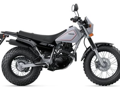 2026 Yamaha TW200 - Photo 4