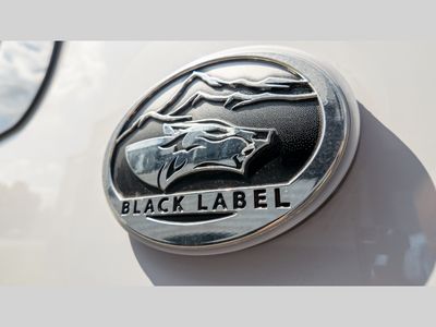 2025 Forest River RV Cherokee Timberwolf Black Label - Photo 15