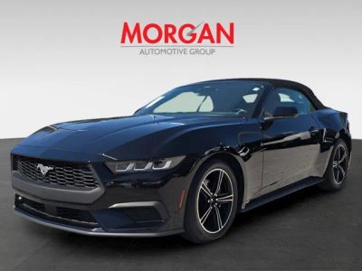 2024 Ford Mustang — interior view