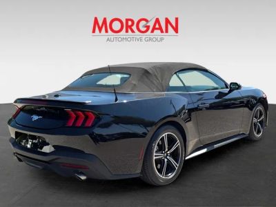 2024 Ford Mustang — photo 8 view