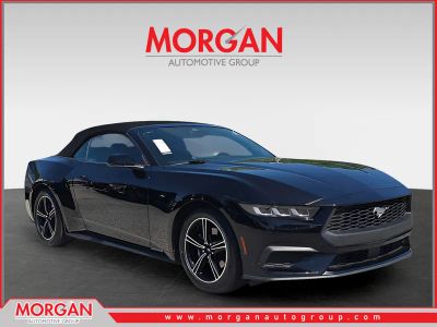 2024 Ford Mustang EcoBoost Premium in Black — front three-quarter view