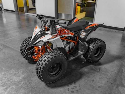 2025 Kayo Predator 125 EFI - Photo 7