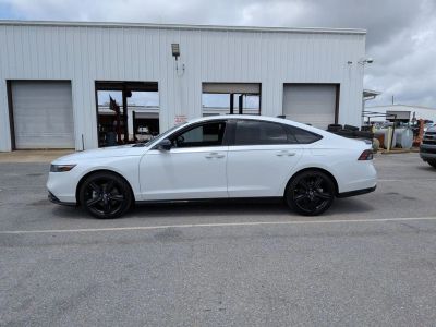 2023 Honda Accord Hybrid — side profile view