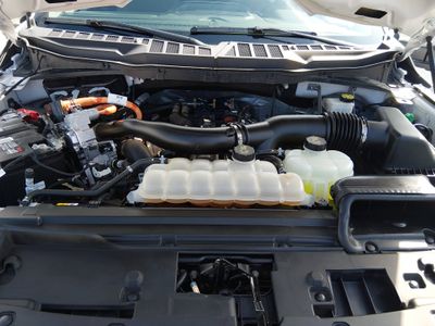 2024 Ford F-150 — photo 9 view