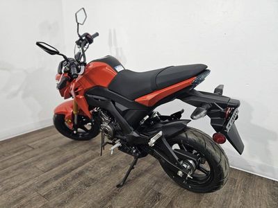 2025 Kawasaki Z125 PRO - Photo 5