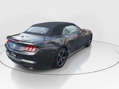 2024 Ford Mustang - Photo 7