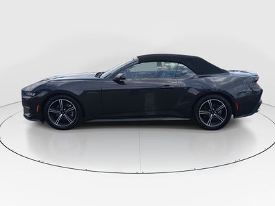 2024 Ford Mustang - Photo 4