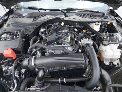 2024 Ford Mustang - Photo 9