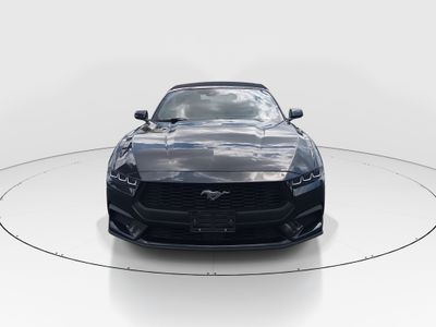 2024 Ford Mustang - Photo 2