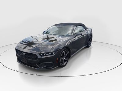 2024 Ford Mustang - Photo 3