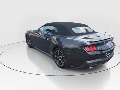2024 Ford Mustang - Photo 5