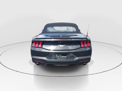 2024 Ford Mustang - Photo 6