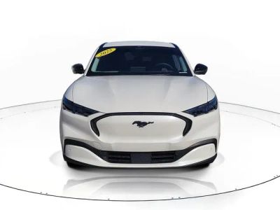 2025 Ford Mustang Mach-E — side profile view