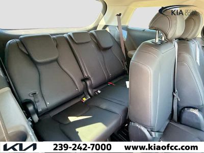 2026 Kia Carnival — photo 19 view