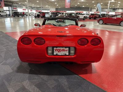 1999 Chevrolet Corvette — detail view