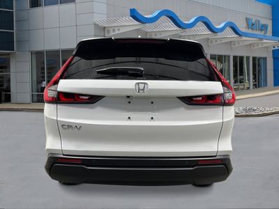 2026 Honda CR-V - Photo 4