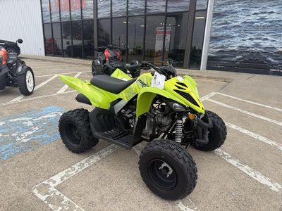 2026 Yamaha Raptor 110 - Photo 2