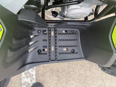 2026 Yamaha Raptor 110 - Photo 18
