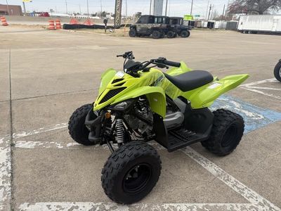 2026 Yamaha Raptor 110 - Photo 4