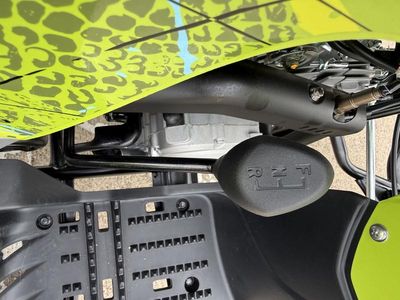 2026 Yamaha Raptor 110 - Photo 16