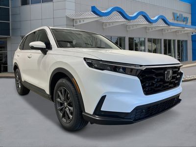2026 Honda CR-V - Photo 7